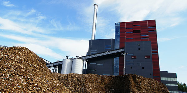 ACI Fans for Biomass Plant