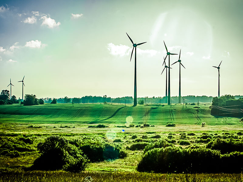 Wind Turbine Energy ACI Bottle Cap and Neck Dryers