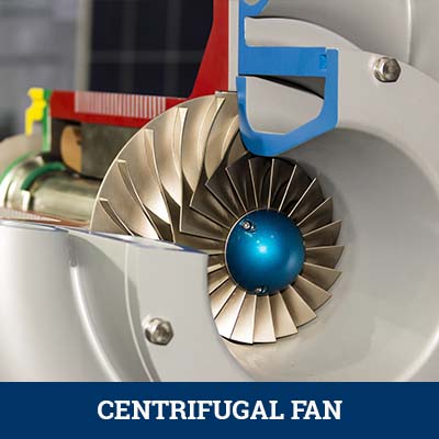 Cut off section of a centrifugal fan