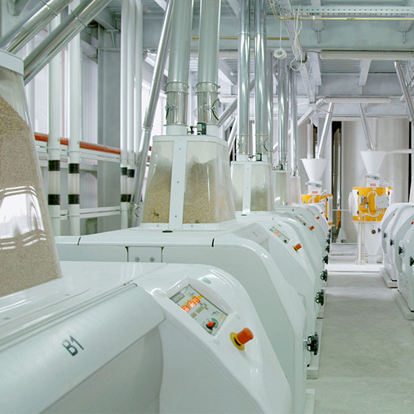 Flour Processing Flour Processing Plant