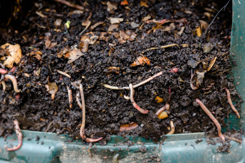 Natural,,Processed,Homemade,Compost,In,A,Plastic,Barrel,With,Visible
