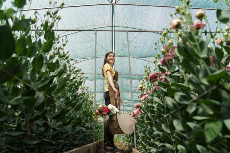 Flower cultivation business, woman walking through green house to see the harvest. Woman florist walking among flowers in a green house