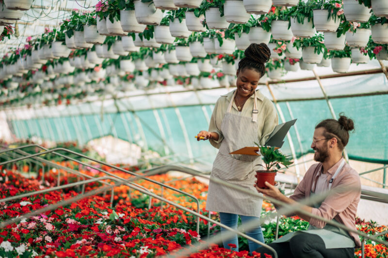 Multiracial florists working in a green house plant nursery florists working together inside their plant nursery.