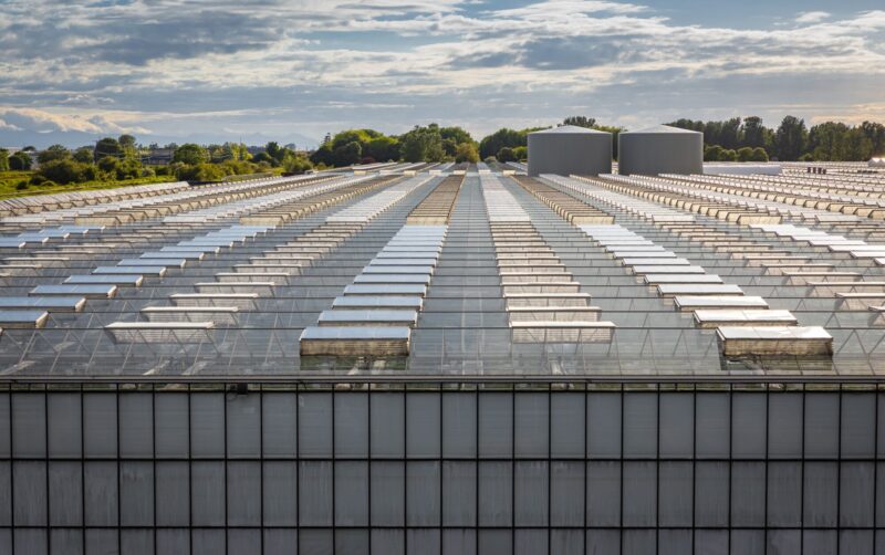 Glass,Greenhouses,From,Above,At,Sunset.,Agriculture,Business.,Greenery.,Contemporary Glass,Greenhouses,From,Above,At,Sunset.,Agriculture,Business.,Greenery.,Contemporary
