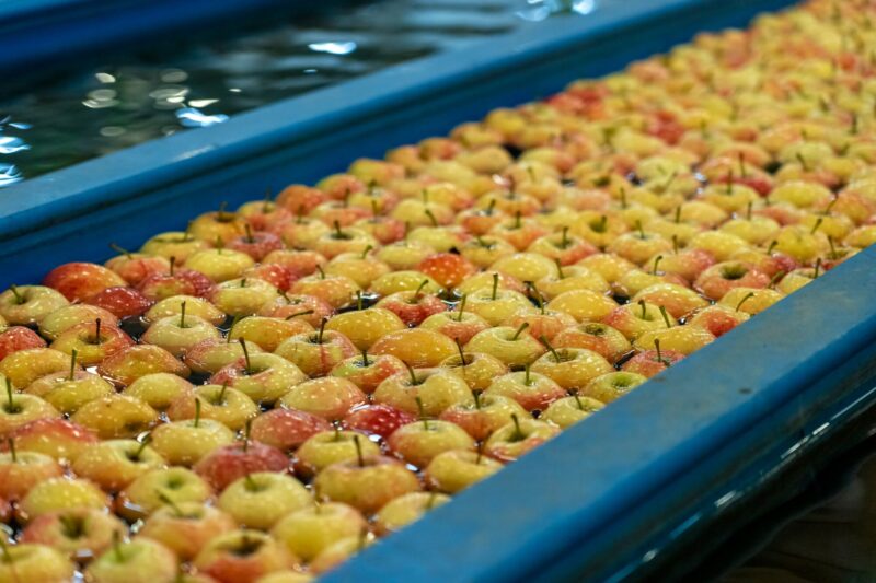 Fresh,Apples,Moving,Through,Water,In,Apple,Flumes,In,Fruit Fresh,Apples,Moving,Through,Water,In,Apple,Flumes,In,Fruit