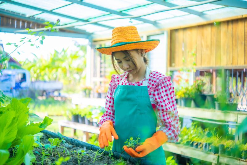 Beautiful,Asian,Farmer,Uses,Natural,Fertilizers,And,Compost,To,Enrich Beautiful,Asian,Farmer,Uses,Natural,Fertilizers,And,Compost,To,Enrich