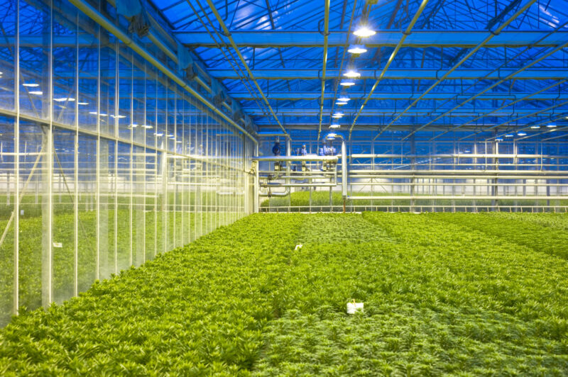 The,Tubes,And,Valves,,Regulating,The,Climate,Control,Of,A Multiple Flowers in a greenhouse