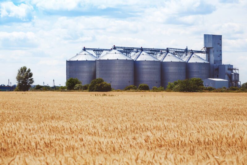 the grain elevator new grain elevator on the background of a wheat field