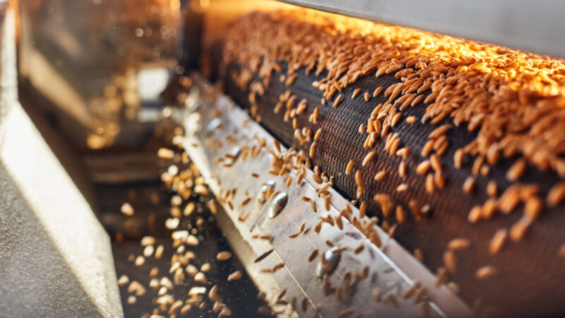 Process,Of,Machine,Drying,And,Antibacterial,Treatment,Of,Freshly,Picked Process,Of,Machine,Drying,And,Antibacterial,Treatment,Of,Freshly,Picked