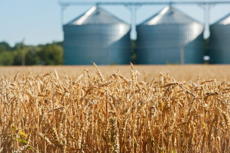Agricultural,Silo,,Foregro,Plantations.,Set,Of,Storage,Tanks,Cultivated,Agricultural Agricultural,Silo,,Foregro,Plantations.,Set,Of,Storage,Tanks,Cultivated,Agricultural