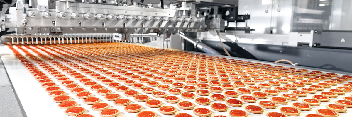 Backery Manufacturing Process Food industry, biscuit production in factory on conveyor belt. Modern line for bakery cookies.