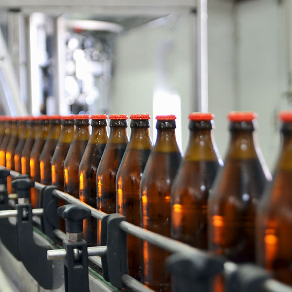 Brown beer bottles on a conveyor line
